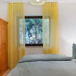 Апартаменты Bergblick Триберг
