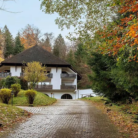 Bergblick Апартаменты Триберг