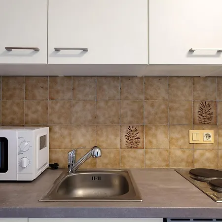 Apartament Bergblick Triberg im Schwarzwald